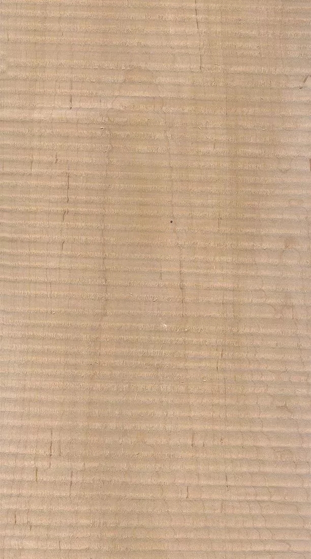 桦木的芯材颜色是淡红棕色，边材颜色近白色，板面宽且带影的木皮市场价格良好，纹理通常是直纹和波浪纹，质地均匀，板面有很好的自然光泽度。.webp.jpg